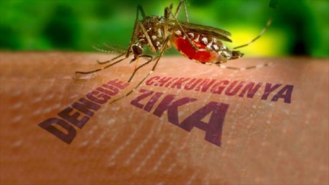  Virus  Zika ăn não người là loại virus do muỗi Aedes Aegypti lây truyền, biểu hiện bằng các triệu chứng sốt nhẹ, phát ban, đau khớp và đỏ mắt. 